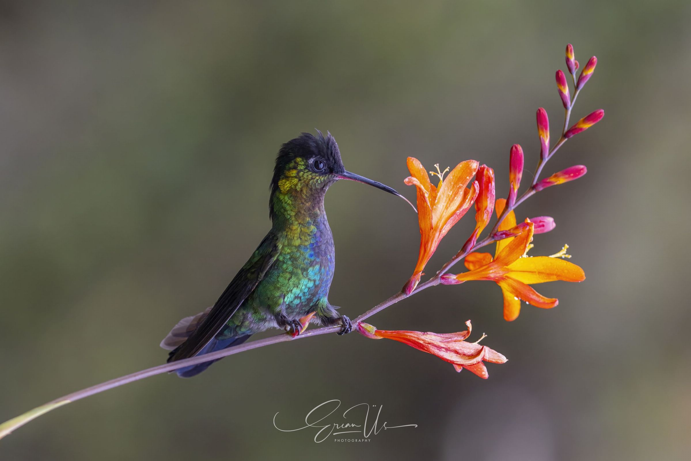 Costa Rica