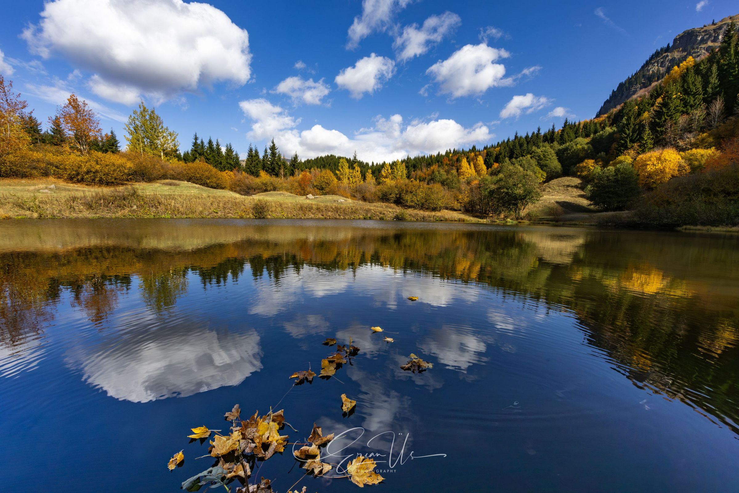 Landscape